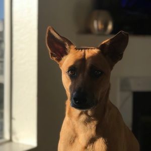 Meet your Posher, Mario